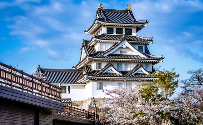 Japanese,Traditional,Gifu,Castle,And,Cherry,Blossoms