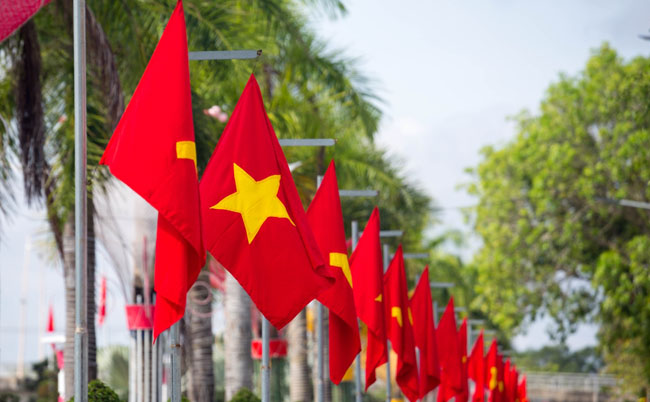 Row,Of,Vietnamese,Flags,Fluttering,In,The,Park,On,Sunny