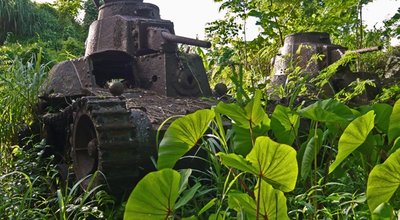 World,War,Ii,Tank,Overgrown,With,Vegetation