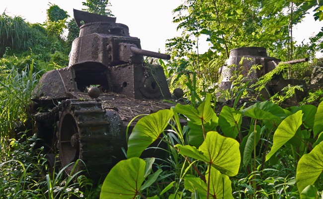 World,War,Ii,Tank,Overgrown,With,Vegetation