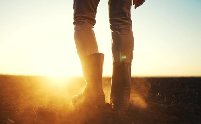 Farmer,Feet,Walks,Across,A,Black,Field.,Agriculture,Business,Concept.