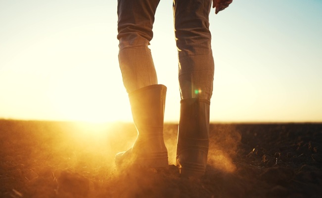 Farmer,Feet,Walks,Across,A,Black,Field.,Agriculture,Business,Concept.