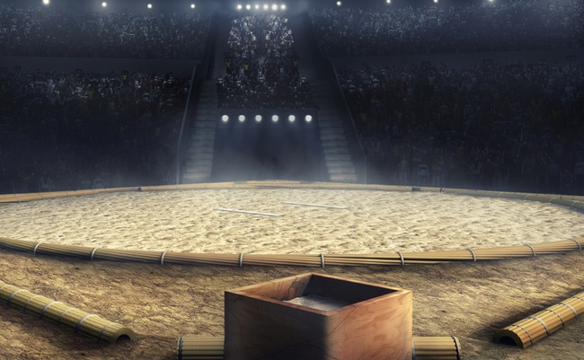 Sumo,Professional,Grande,Arena,In,Lights,3d,Rendering