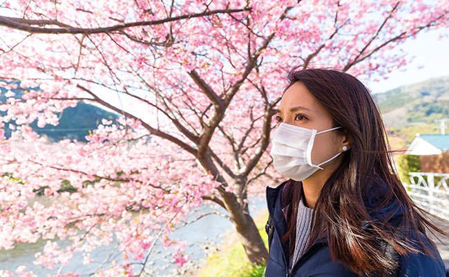 元国税が告発、日本人が苦しむ花粉症「本当の原因」 天下り官僚・マスコミの情報操作ここにも…財務省の闇に通底
