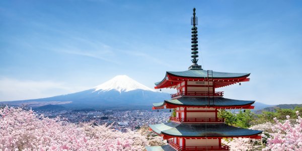 Chureito,Pagode,And,Mount,Fuji,With,Cherry,Blossom,Tree,During