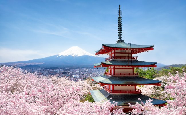 Chureito,Pagode,And,Mount,Fuji,With,Cherry,Blossom,Tree,During