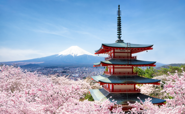 Chureito,Pagode,And,Mount,Fuji,With,Cherry,Blossom,Tree,During