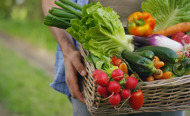 Basket,With,Vegetables,(cabbage,,Carrots,,Cucumbers,,Radish,And,Peppers),In