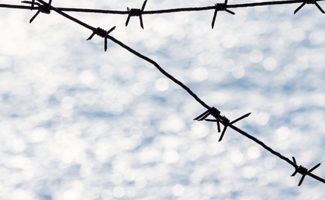 Old,Barbed,Wire,On,A,Background,Of,Snow.,Barbed,Wire