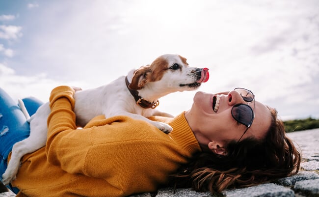 A,Beautiful,Woman,Laughing,While,Her,Pet,Is,Licking,Her