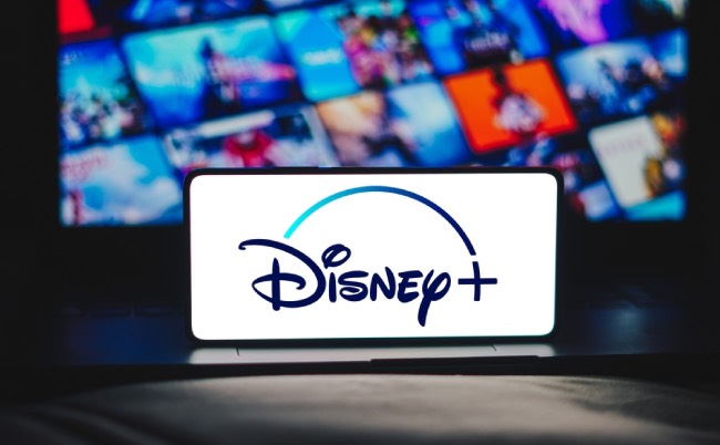 shutterstock_2411963703-2