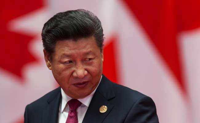 原発処理水の一杯も飲めない日本の政治家が習近平に勝てるのか(出典:plavi011 / Shutterstock.com | 画像引用・キャプションは編集部)