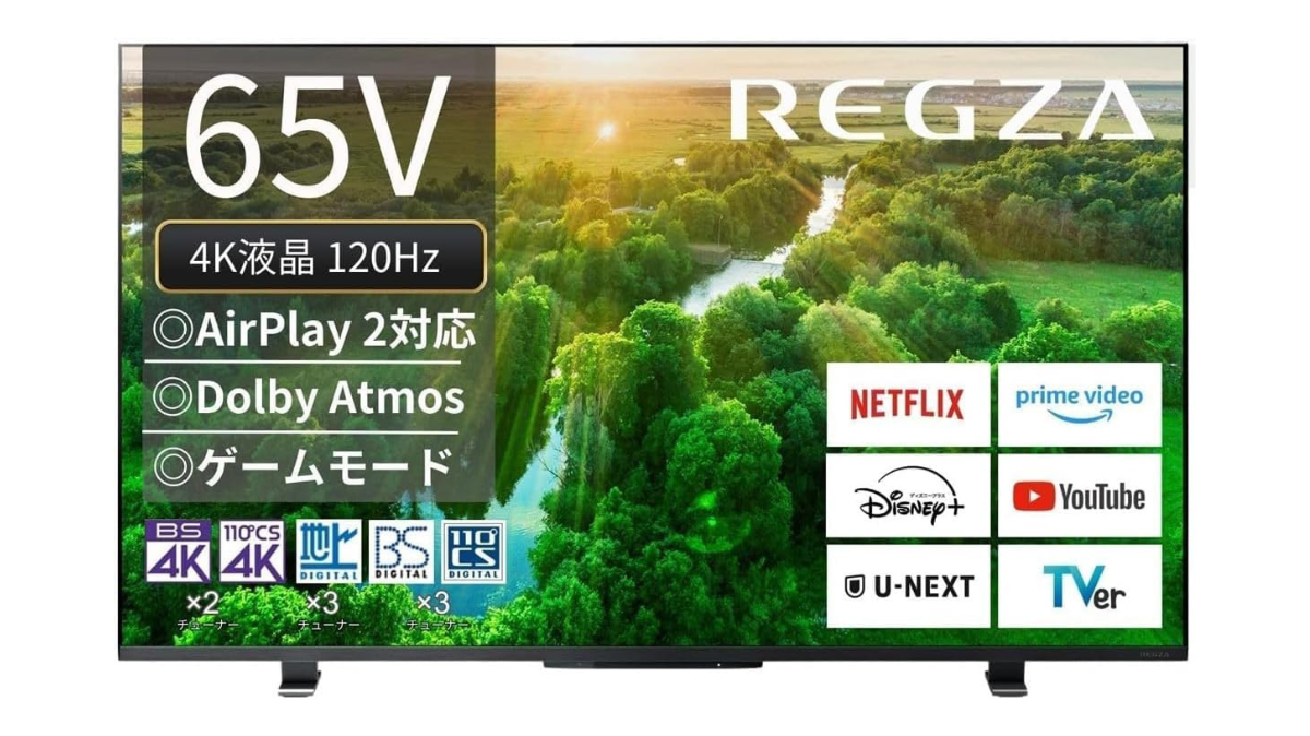 12/23限定価格！REGZA 65インチ E350M 液晶テレビ 23年