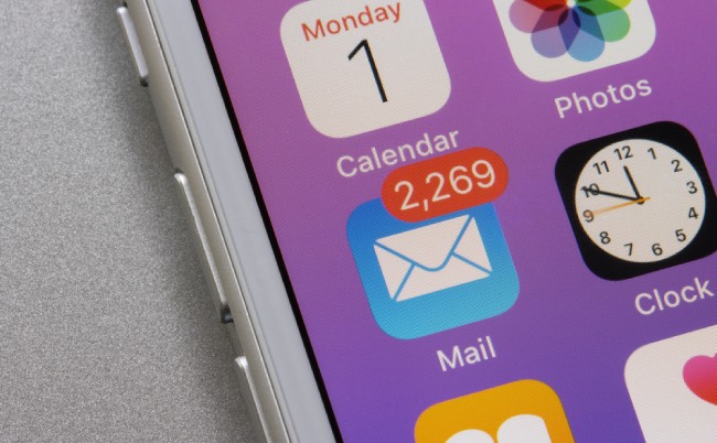 shutterstock_1927262642-2