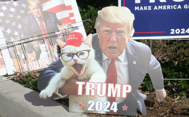 Lake,Forest,,California,-,Usa,-,October,26,,2024:,Donald