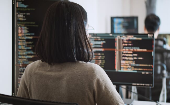 Young,Adult,Asian,Male,,Female,Software,Developer,Coding,Program,On