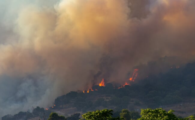 Córdoba,,Spain;,July,22,,2025:,Extinguishing,The,Fire,In,The