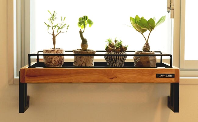 roomie_250715_bibilab_planterstand_01.jpg