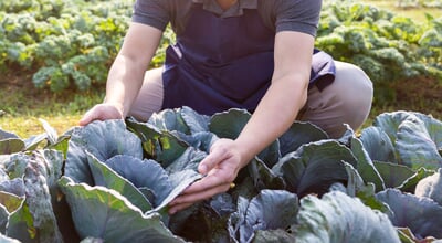 Portrait,Of,Happy,Sme,Owner,Asian,Man,Working,In,Gardening