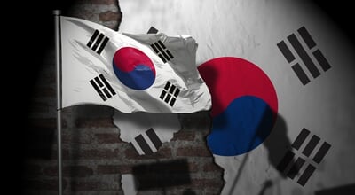 Protester,And,Demonstration,In,South,Korea