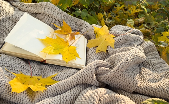 Open,Book,On,Autumn,Park,Background.,Book,On,A,Plaid