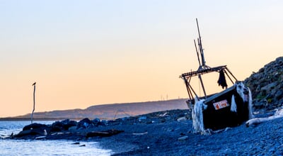 shutterstock_1240714276