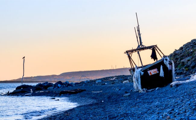 shutterstock_1240714276