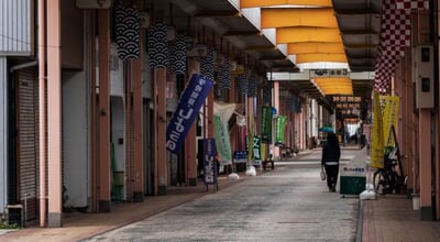 shutterstock_2687485181-2