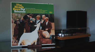 shutterstock_2640599167