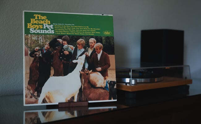 shutterstock_2640599167