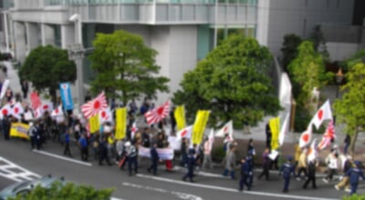 Anti-Chinese_government_rally_on_13_November_2010_by_Zaitokukai_2