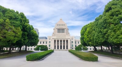Japan's,National,Diet,Building,And,National,Flag