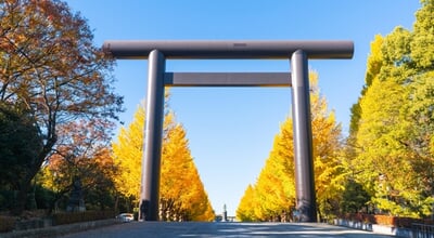 Tokyo,Autumn,Foliage,,Ginkgo,Avenue,And,Torii,Gate,At