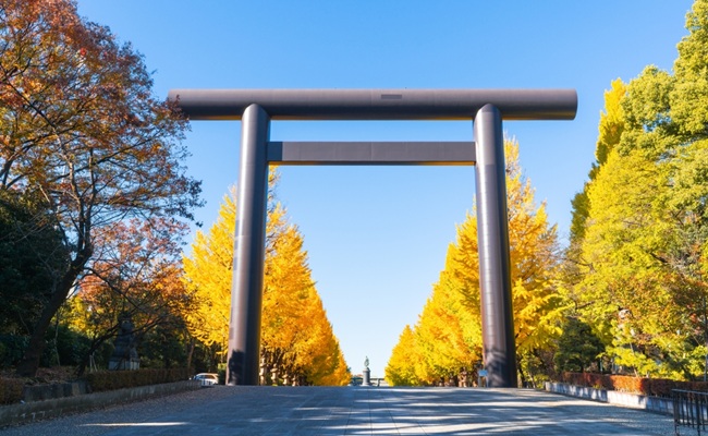 Tokyo,Autumn,Foliage,,Ginkgo,Avenue,And,Torii,Gate,At