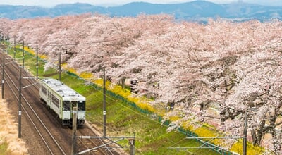 Jr,Train,On,The,Railroad,Track,With,A,Row,Of