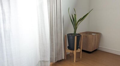 roomie_0966ae36a1cf5fc3d7afa407fcfa50e4.jpg