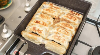 roomie_20260512_gyoza_01.jpg