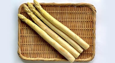 roomie_260524_hina-1.jpg