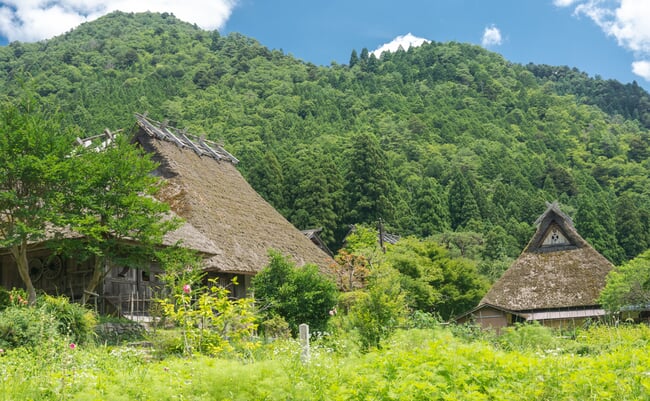 京都南丹市11歳殺害の悲劇は他人事ではない。再婚家庭で子どもが「大丈夫」と言う本当の理由