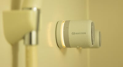 roomie_0D5A0517.jpg