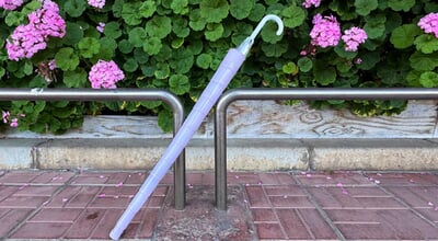 まぐまぐニュース！第一線の専門家たちがニッポンに「なぜ？」を問いかける