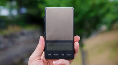 roomie_2605_watchget_pocketscale12.jpg