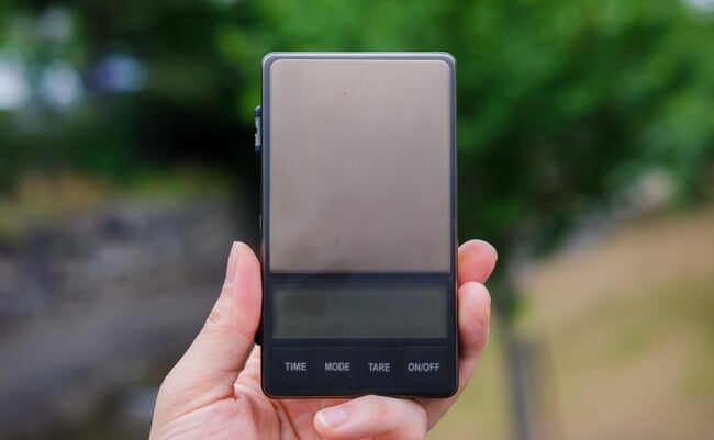 roomie_2605_watchget_pocketscale12.jpg