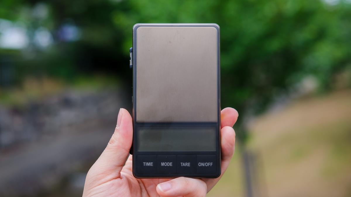 roomie_2605_watchget_pocketscale12.jpg