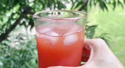 roomie_Watermelon-juice-4.jpg