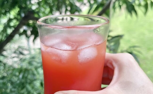 roomie_Watermelon-juice-4.jpg