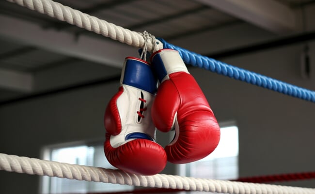 A,Pair,Of,Red,,White,,And,Blue,Boxing,Gloves,Are