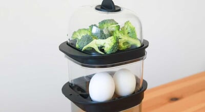 roomie_steamer0602.jpg