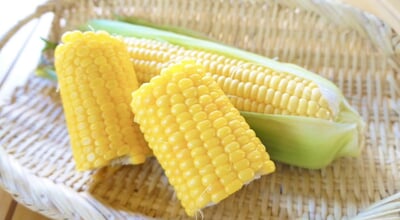 roomie_230802_corn_select_01.jpg