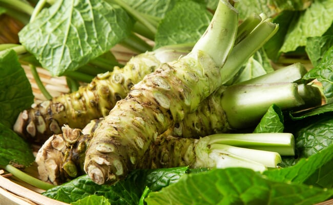Japanese,Horseradish,.,Wasabi